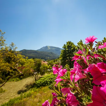 Haus Bella Vista 公寓